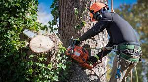 Tree Cutting London